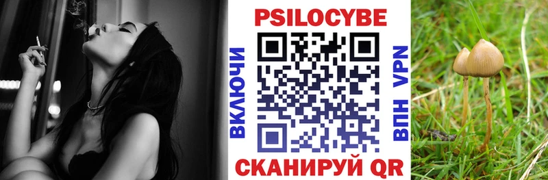 Псилоцибиновые грибы Psilocybine cubensis  хочу   Киселёвск 